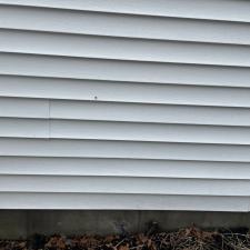 House, Fence, Roof Washing 1