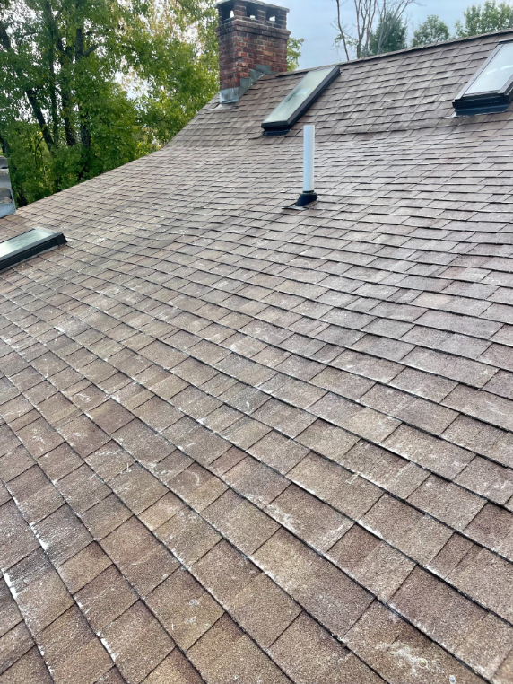 Roof cleaning edward